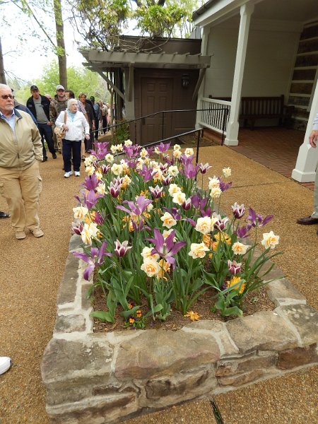 Image 011.JPG - Flowers at Michie Tavern (Bob Robb photo)